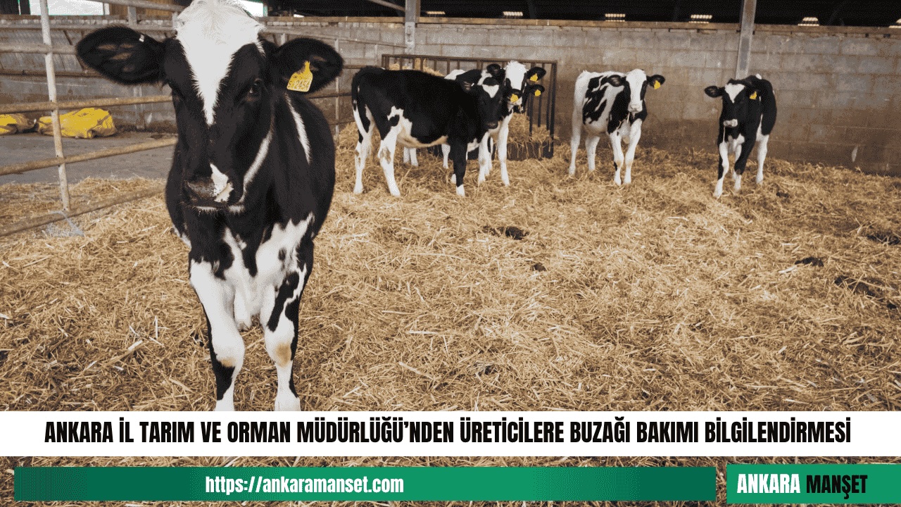 Ankara İl Tarım ve Orman Müdürlüğü, verimli hayvancılık için kritik uyarılarda bulundu