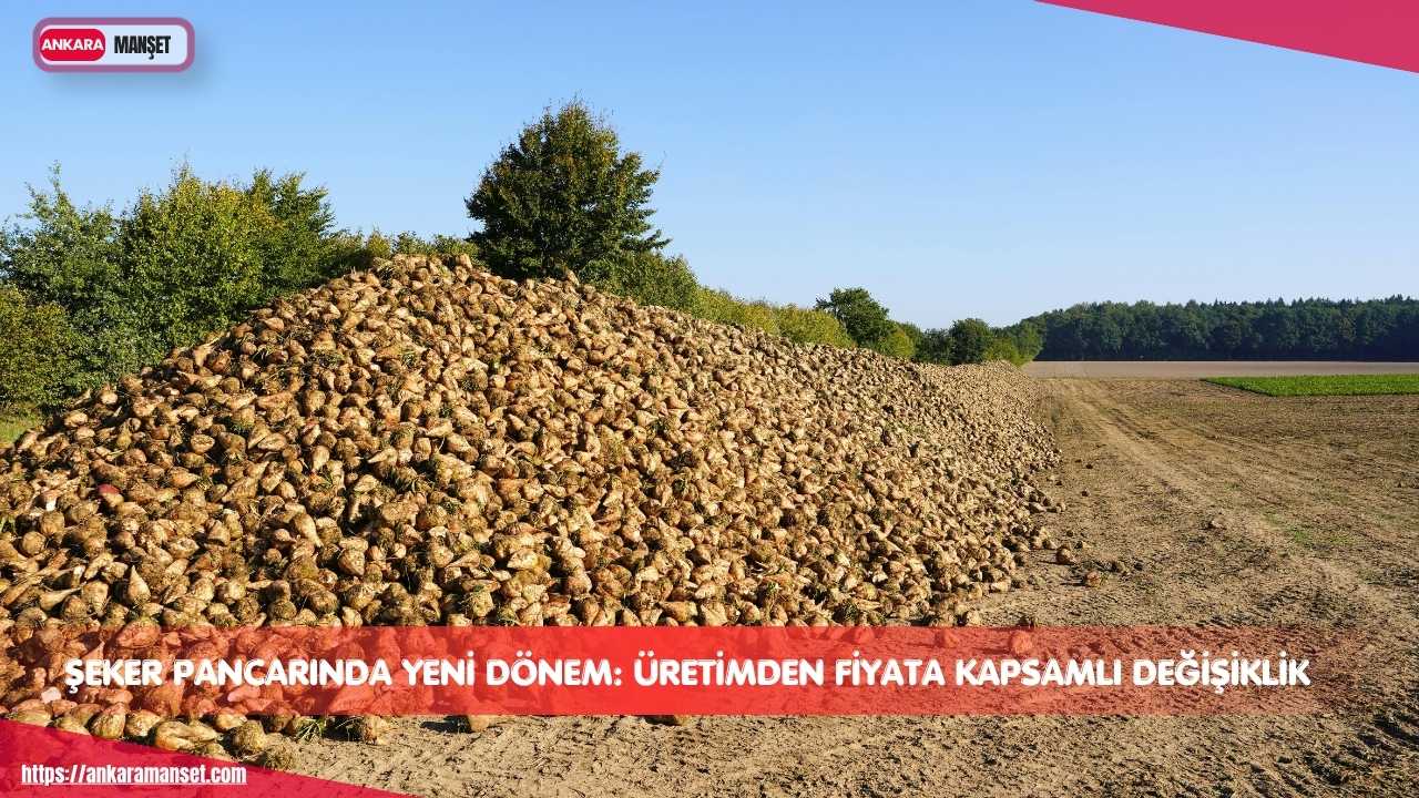 Şeker Pancarı Kanun Teklifi Komisyondan Geçti, Üretimde Kurallar Değişiyor