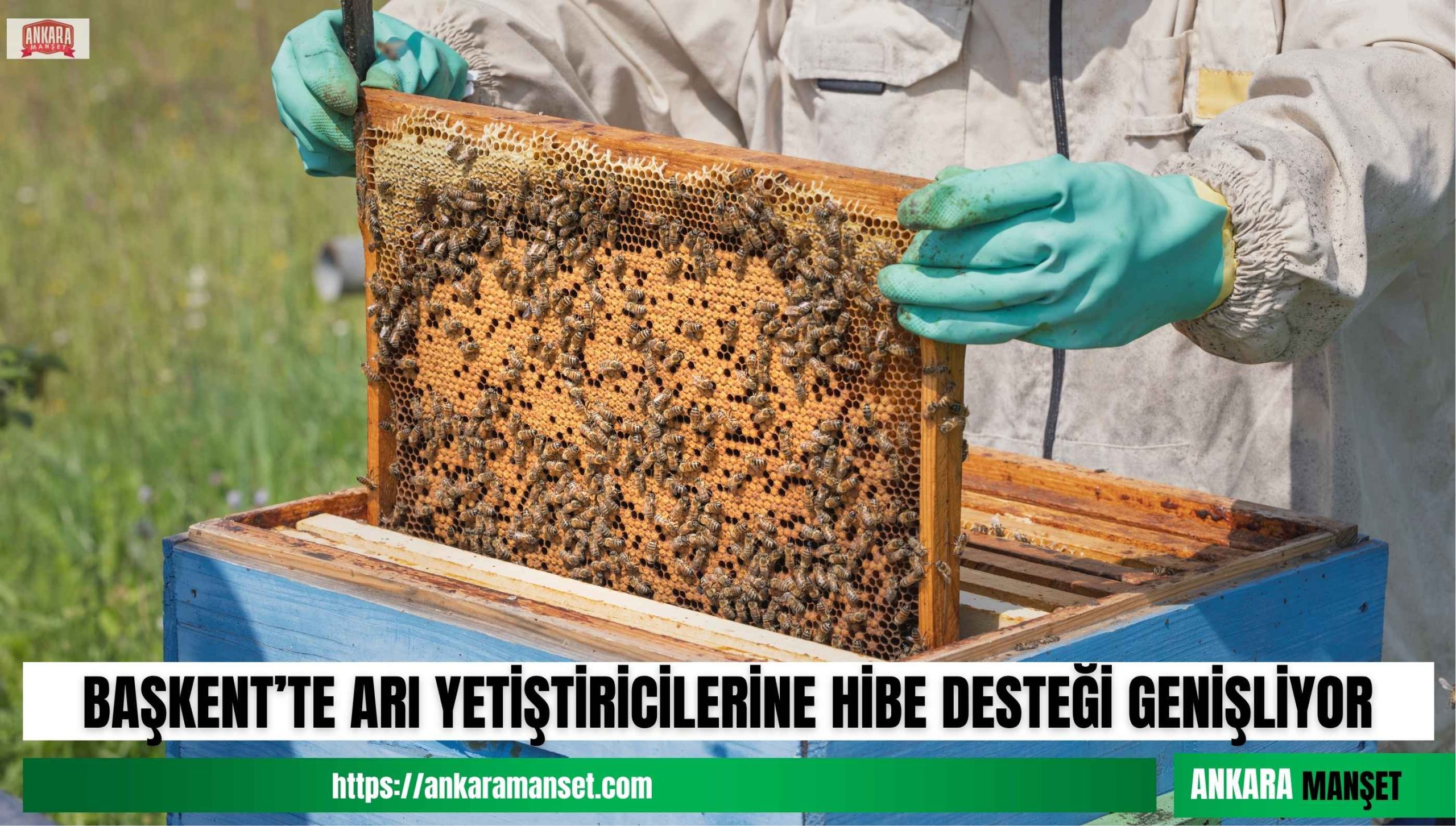 Ankara’da arıcılara kovan ve yem desteği