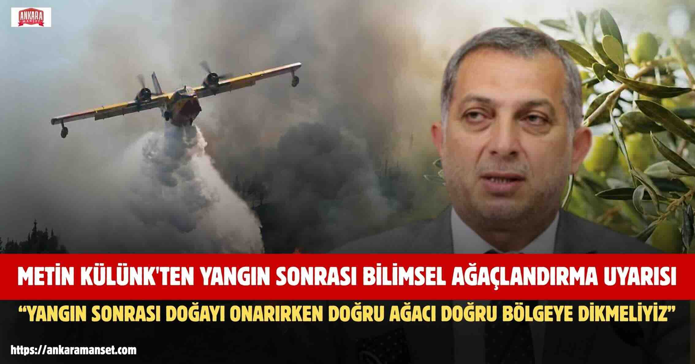 Metin Külünk: Yangın Sonrası Doğayı Onarırken Doğru Ağacı Doğru Bölgeye Dikmeliyiz